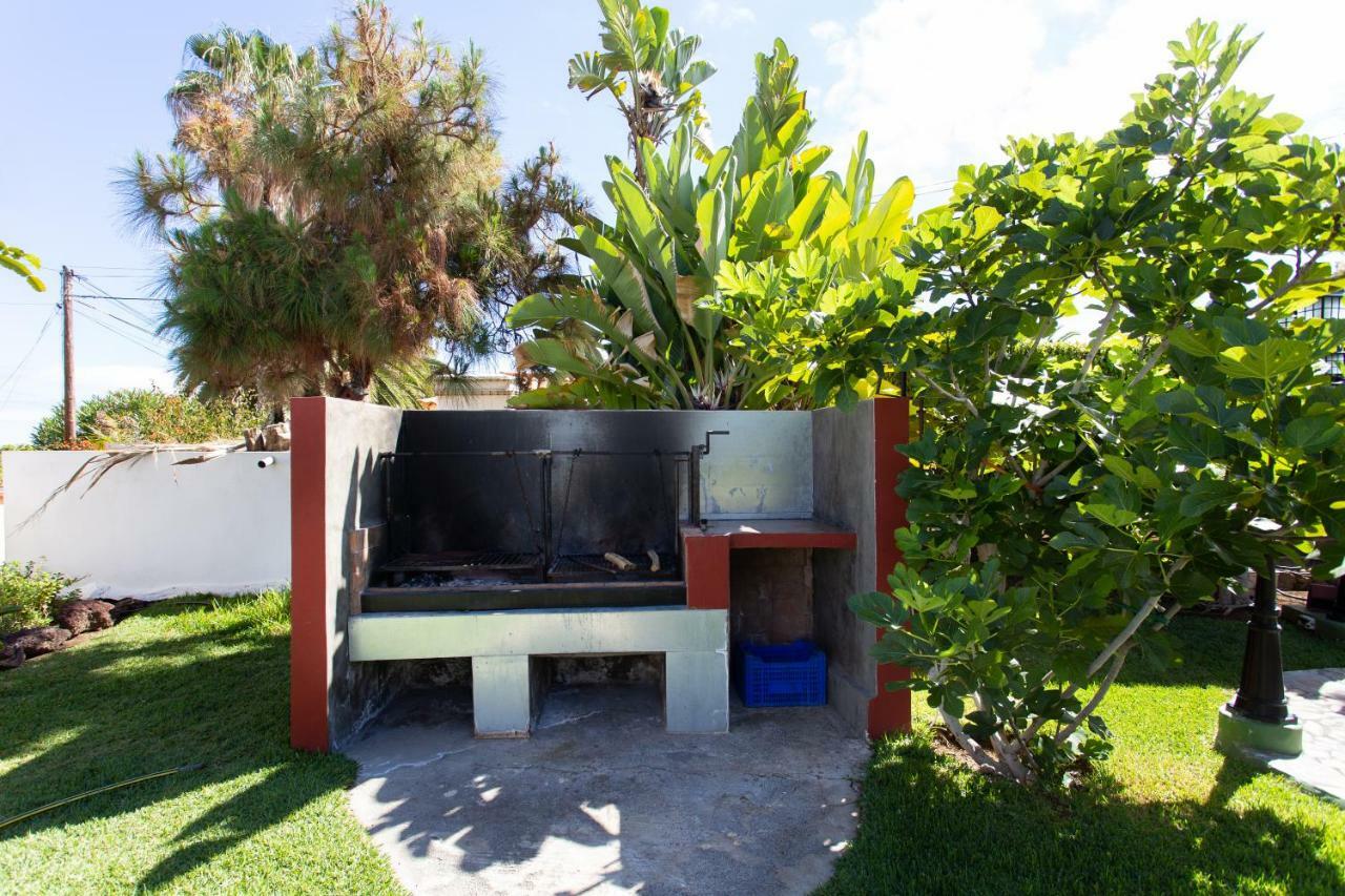 Finca La Gaviota - Maxi Icod De Los Vinos Exterior foto